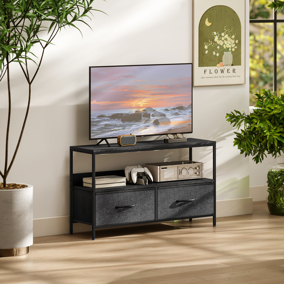 TV-Lowboard mit 2 Schubladen und offenem Fach