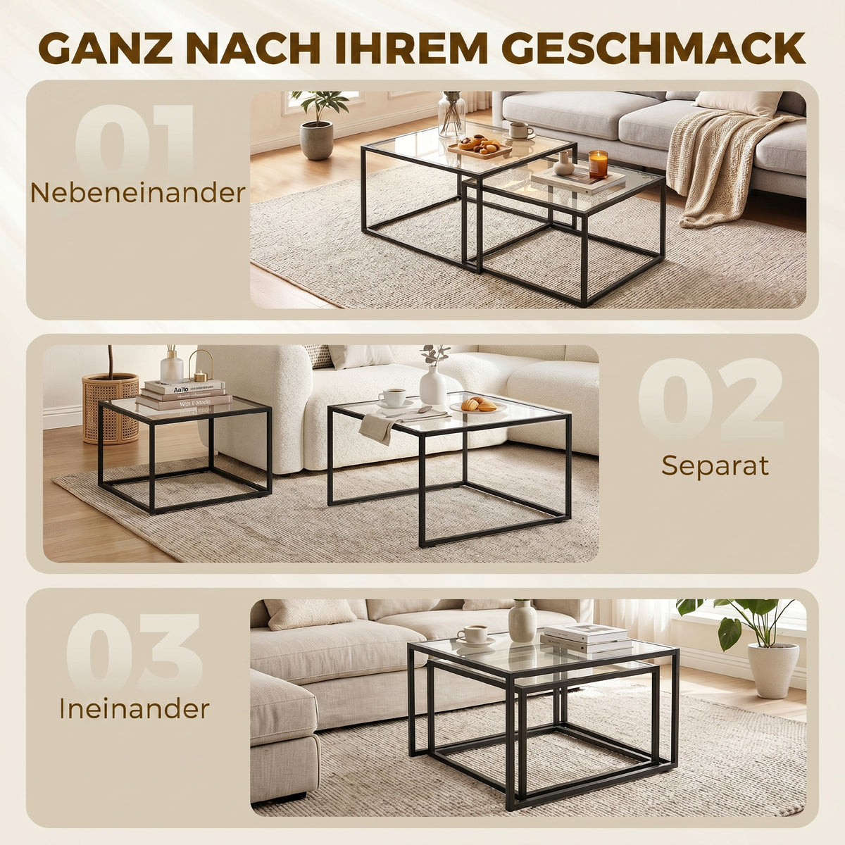 Couchtisch-Set 2-teilig mit Glasplatten